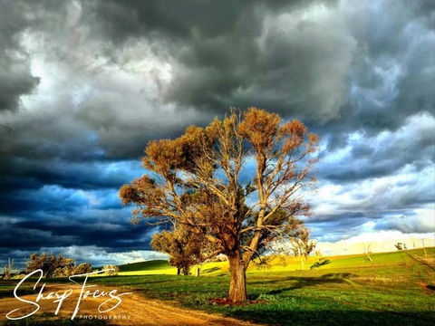 Wantana Cottage Farmstay - Tourism Gold Coast 3