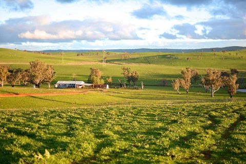Wantana Cottage Farmstay - Tourism Gold Coast 1