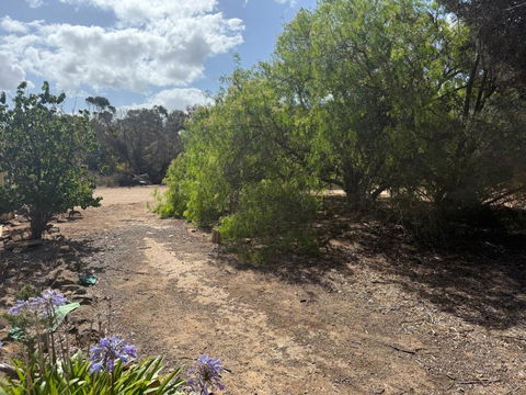 Woody House - Tourism Gold Coast 2