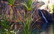 3-Day Kakadu 4WD Camping Safari From Darwin - thumb 2