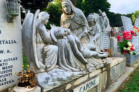 The Fully Local (Private) Tour - Tourism Gold Coast 4