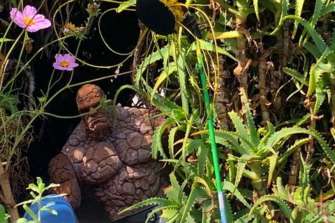 The Fully Local (Private) Tour - Tourism Gold Coast 5