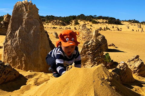 Perth Kids Explorer (Private) Day Tour - Tourism Gold Coast 3