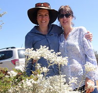 Spring Wildflower Private Day Tours - Tourism Gold Coast