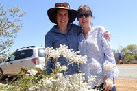 Spring Wildflower Private Day Tours, Perth
