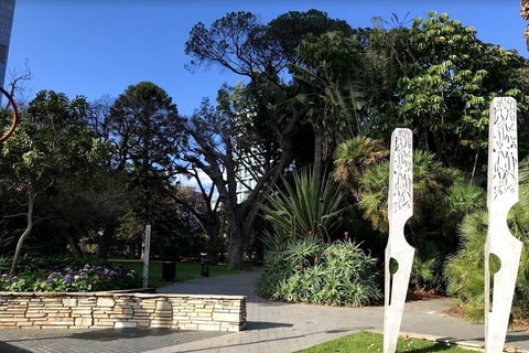 Perth Scavenger Hunt: Perched On A Swan - Tourism Gold Coast 2