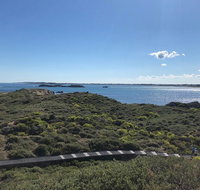 Penguin Island And Fremantle - Canoe Chocolate  Coffee - Tourism Gold Coast
