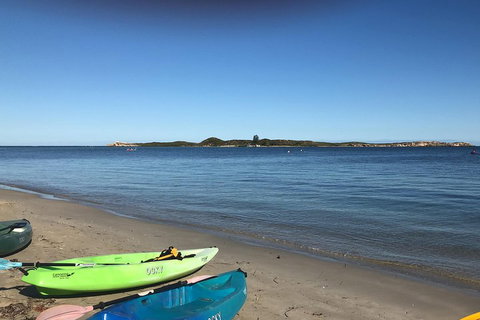 Penguin Island And Fremantle - Canoe, Chocolate & Coffee - Tourism Gold Coast 2