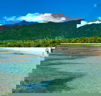 5-Day Best of Cairns with Daintree Kuranda and Great Barrier Reef - Gold Coast