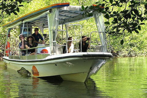 5-Day Best Of Cairns With Daintree, Kuranda, And Great Barrier Reef - Gold Coast 1