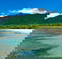 8-Day Cairns Tour Great Barrier Reef Kuranda Daintree Rainforest - Tourism Gold Coast