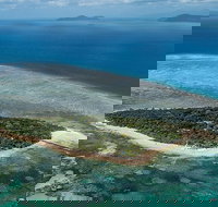 4-Day Cairns with Great Barrier Reef and Daintree Rainforest - Tourism Gold Coast