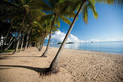 Kuranda Day Trip From Port Douglas Upgrade To Skyrail & Scenic Train Available - Gold Coast 1