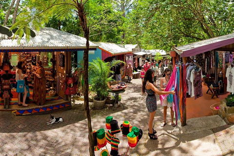 Kuranda Day Trip From Port Douglas Upgrade To Skyrail & Scenic Train Available - Gold Coast 2