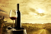 McLaren Vale Luxury Wine Tour, Adelaide