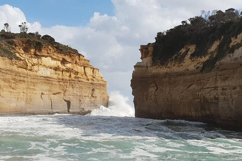 12 Apostles Tour From Warrnambool - Gold Coast 2