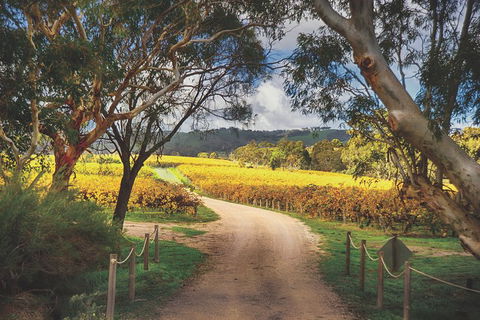 McLaren Vale Winery Small Group Tour With Wine Tasting And Lunch - Gold Coast 1