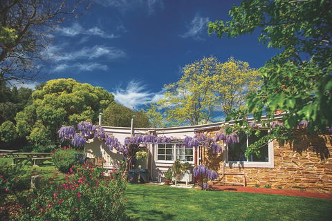 McLaren Vale Winery Small Group Tour With Wine Tasting And Lunch - Gold Coast 2