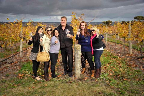 McLaren Vale Winery Small Group Tour With Wine Tasting And Lunch - Gold Coast 3