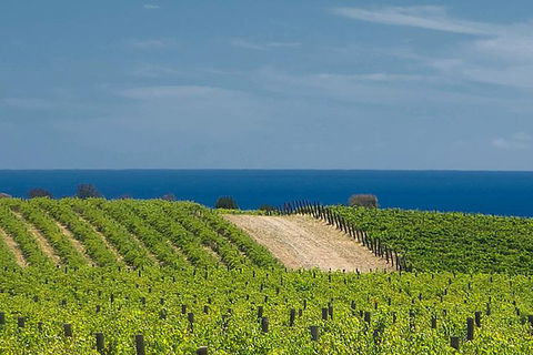 McLaren Vale Winery Small Group Tour With Wine Tasting And Lunch - Gold Coast 4