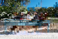 Fly  Cruise - Seaplane Package, Airlie Beach
