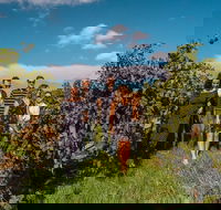 Barossa Valley Private Tour from 2 to 11 people - Gold Coast