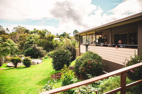 Full-day Springbrook National Park Tour From The Gold Coast - Tourism Gold Coast 2
