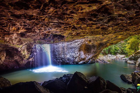Full-day Springbrook National Park Tour From The Gold Coast - Tourism Gold Coast 3