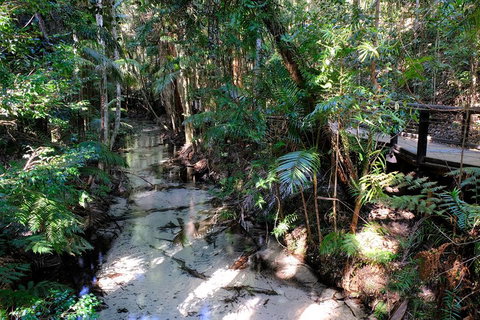 Fraser Island 4WD Tour From Rainbow Beach - Tourism Gold Coast 0