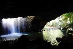 Rainforest & Waterfalls Extravaganza