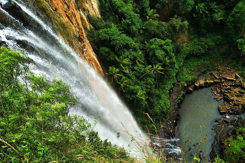 Natural Arch, Rainforest & Volcano Canyon - Private Half Day Tour - Tourism Gold Coast 5