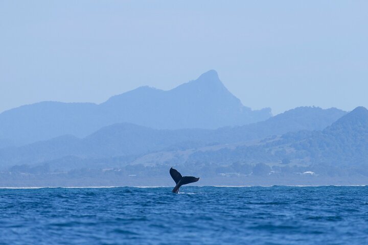  Gold Coast