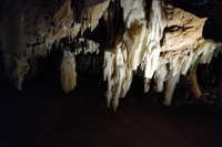 The Pinnacle Adventure Tour, Perth