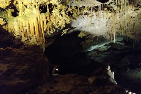 The Pinnacle Adventure Tour - Tourism Gold Coast 2