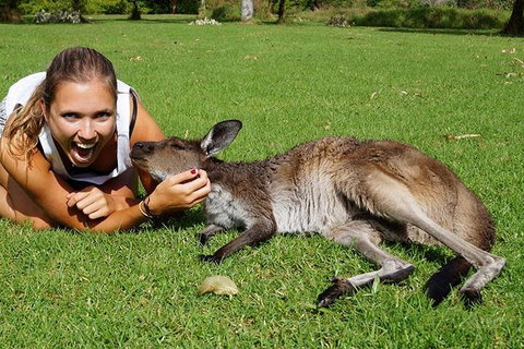 7-Day Tour In Sydney With Airport Pickup - Tourism Gold Coast 4