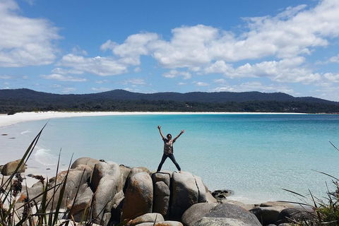 Tasmania 4 Day East Coast + Launceston - Tourism Gold Coast 1