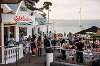 Phillip Island and French Island Wildlife Expedition, Melbourne