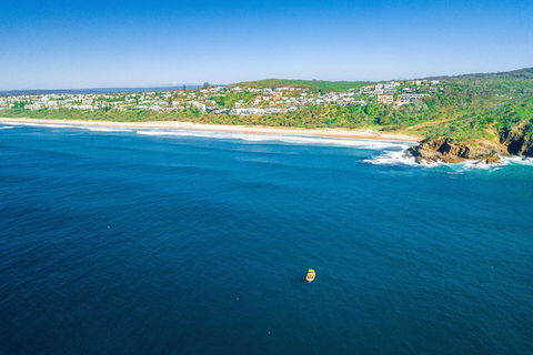 2-Hour Guided Whale Watching Tour At Noosa - Gold Coast 4