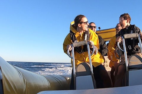 Noosa Oceanrider - Adventure Tour - Tourism Gold Coast 0