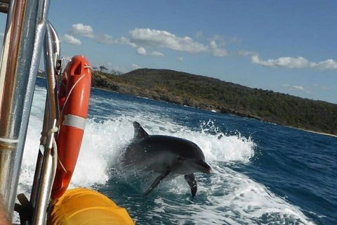Noosa Oceanrider - Adventure Tour - Tourism Gold Coast 1