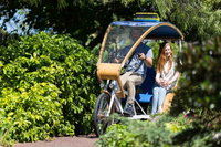 Book Viator Accommodation Vacations Tourism Gold Coast Tourism Gold Coast