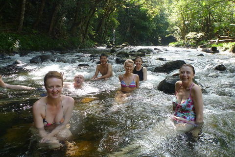 Daintree Rainforest, Cape Tribulation, Mossman Gorge Small-Group Day Tour - Gold Coast 0