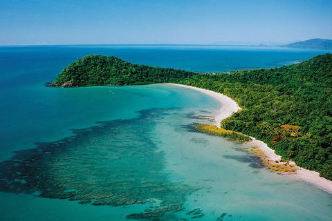 Daintree Rainforest, Cape Tribulation, Mossman Gorge Small-Group Day Tour - Gold Coast 4
