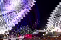 Discover Brisbane