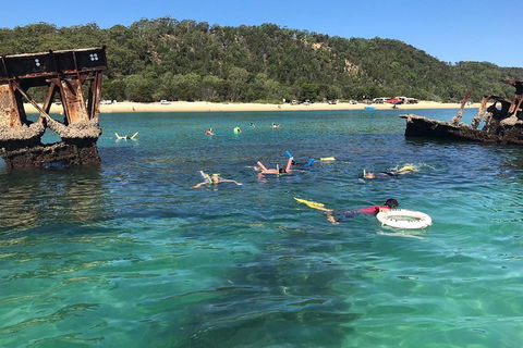 All Inclusive Dolphin And Tangalooma Wrecks Cruise - Tourism Gold Coast 0