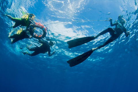 Passions Of Paradise Great Barrier Reef Snorkel And Dive Cruise From Cairns By Luxury Catamaran - Tourism Gold Coast 2