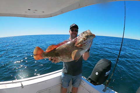 1/2 Day 5 Hour Offshore Fishing Charter - Tourism Gold Coast 2
