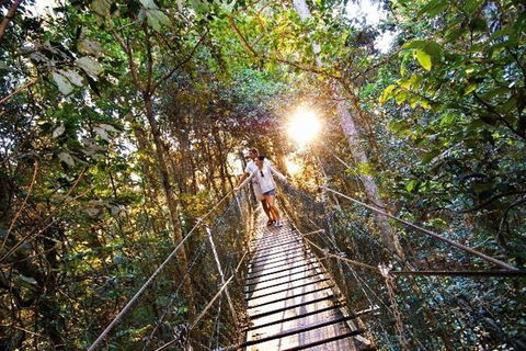 O'Reilly's & Lamington National Park From Brisbane - Tourism Gold Coast 5