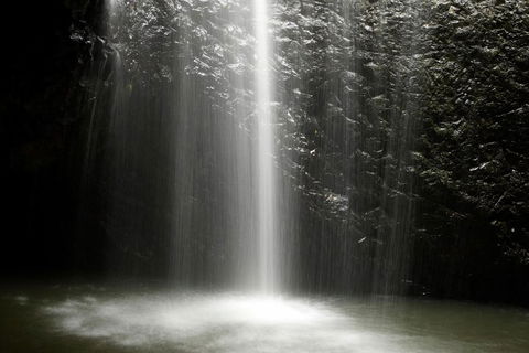 Natural Bridge Glow Worm Night Tour From Gold Coast - Tourism Gold Coast 2
