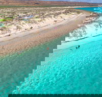 Ningaloo in a Day - Full Day Hike and Snorkel Tour with Lunch - Gold Coast